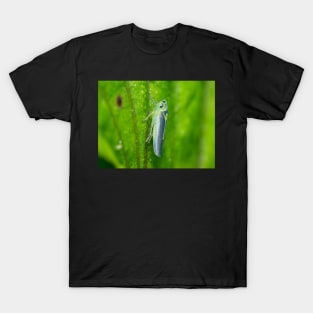 Unique and organic photo of a leafhopper T-Shirt